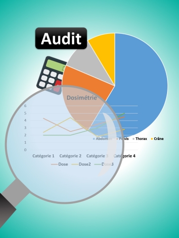 audit