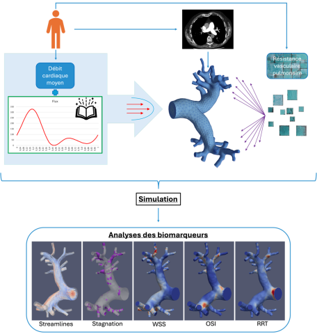 Image1 Sara Benchara.png