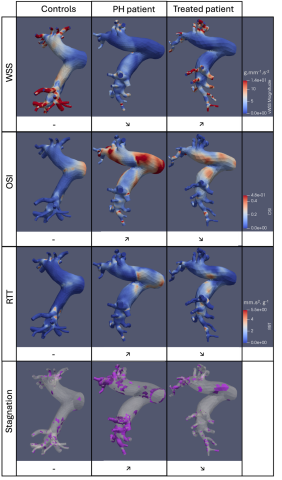 Image2 Sara Benchara.png