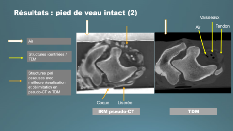 analyse2